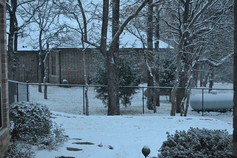 01262013 176.JPG