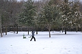 03202015 595