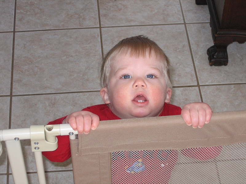 04012007 033.jpg