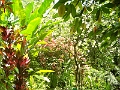 07022012 090