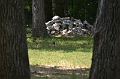 07072013 011