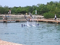 07272008 028
