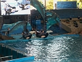 08292010 087