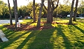 IMAG0025