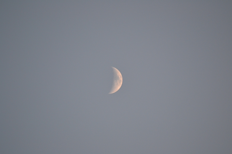 09012014 282.JPG