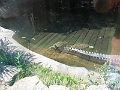 09302008 113