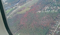 IMAG0114