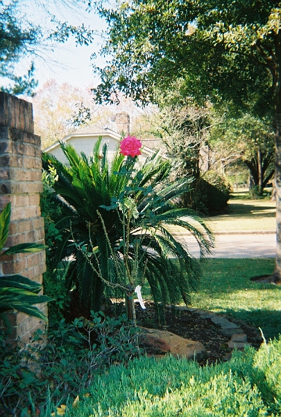 12-5-2005-02.jpg - Created by AccuSoft Corp.