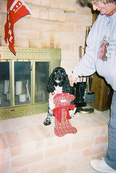 12252007 003.jpg - Created by AccuSoft Corp.