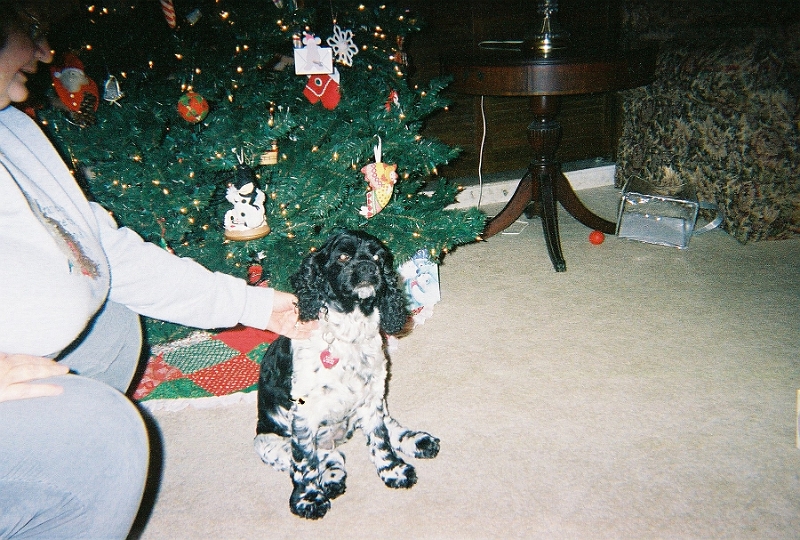 12252007 005.jpg - Created by AccuSoft Corp.