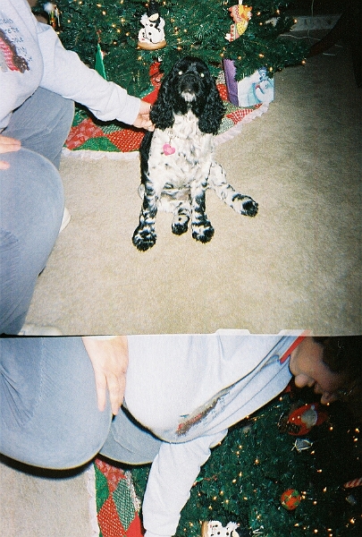 12252007 006.jpg - Created by AccuSoft Corp.