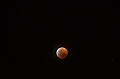 20190121 006
