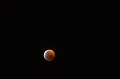 20190121 009
