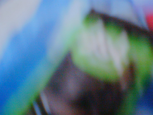 CK - 01102010 172.JPG