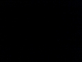 CK - 01102010 154
