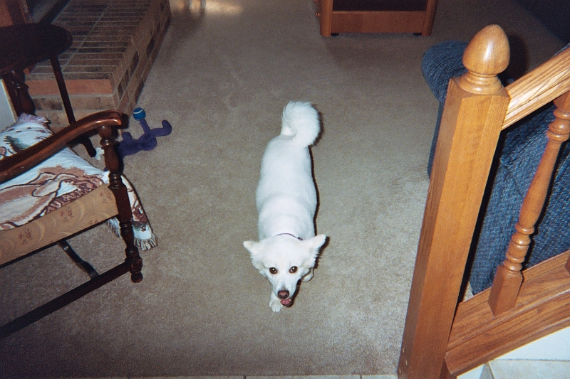 004_1A.JPG