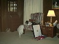 HoefertChristmas2002-18