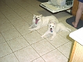 Samantha & Sno - 022203 - 03